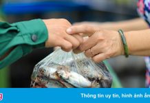 Cán bộ phường ở TP.HCM thêm tên người thân vào danh sách nhận hỗ trợ