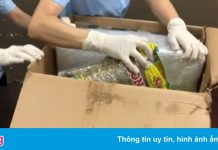 Giấu 4,6 kg ma túy trong sứa biển, cá khô