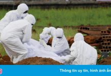 Ấn Độ đối mặt với virus truyền từ dơi nguy hiểm hơn SARS-CoV-2