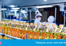 Doanh thu Kido tiếp tục tăng trong tháng 7-8