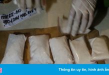 Thu giữ gần 1,4 kg ma túy, súng trong cơ sở massage