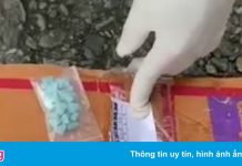 Lợi dụng xe ‘luồng xanh’ để giấu ma túy trong thùng mì tôm