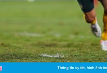 Mặt cỏ tệ hại của sân Mỹ Đình