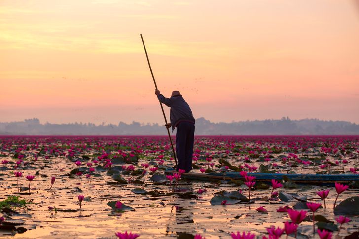 Mê đắm trước những bức ảnh nông thôn của 3 nước Thái Lan, Myanmar và Việt Nam - 14