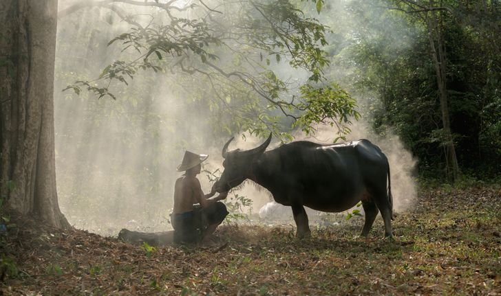 Mê đắm trước những bức ảnh nông thôn của 3 nước Thái Lan, Myanmar và Việt Nam - 6