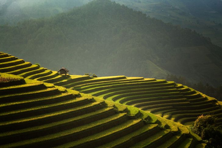 Mê đắm trước những bức ảnh nông thôn của 3 nước Thái Lan, Myanmar và Việt Nam - 8