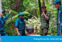 Đưa 97 người ra khỏi rừng, trước khi bão số 5 đổ bộ