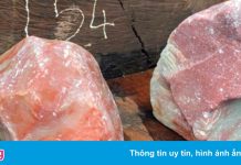 7 xe container chở gỗ lậu, đá quý từ Lào về Việt Nam