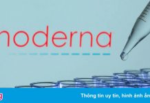 Moderna nghiên cứu kết hợp vaccine Covid-19 tăng cường và phòng cúm