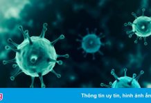 Biến chủng Mu xuất hiện tại 49 bang của Mỹ