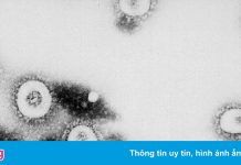 Phát hiện mới về nguyên nhân khiến nhiều F0 tử vong