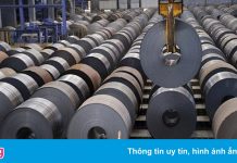 Chốt lời 15 triệu cổ phiếu NKG khi giá gấp 9 lần