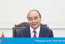 Chủ tịch nước Nguyễn Xuân Phúc điện đàm với tổng thống Nga