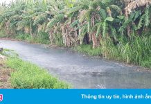 Doanh nghiệp ở Sóc Trăng phản đối tăng giá xử lý nước thải