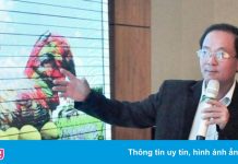 Giám đốc Sở Du lịch Bình Định bị miễn nhiệm chức vụ