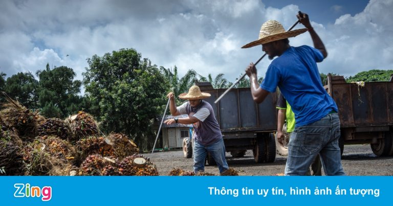 Các ổ dịch ở Đông Nam Á làm gián đoạn sản xuất, đẩy giá cả tăng vọt