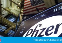 Pfizer thử nghiệm thuốc kháng virus dạng uống chống Covid-19