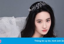 Lưu Diệc Phi bị chỉ trích sau vụ Tạ Đình Phong bỏ quốc tịch Canada