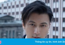 Sự nghiệp của Tạ Đình Phong sau khi bỏ quốc tịch Canada