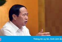 Phó thủ tướng: Bắt xe chở hàng nghìn con gà sang tải, DN sao sống nổi