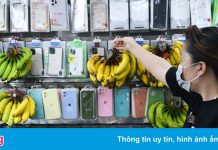 Tiệm cắt tóc, phụ kiện điện thoại chuyển sang bán rau củ quả