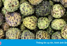 Đài Loan dọa kiện Trung Quốc ra WTO vì lệnh cấm nhập trái cây