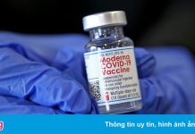 Phát hiện mới về kháng thể của vaccine Moderna