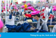 Không thể chờ sạch bóng virus mới nối lại hoạt động kinh tế