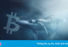 Thêm một ‘cá voi Bitcoin’ thức giấc sau hơn 7 năm không hoạt động