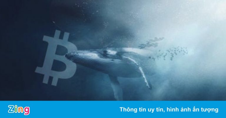 Thêm một ‘cá voi Bitcoin’ thức giấc sau hơn 7 năm không hoạt động