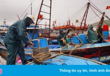 Quảng Ngãi ra lệnh cấm biển từ trưa ngày 23/9