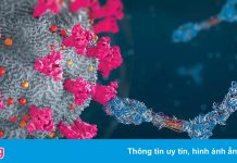 Phát hiện mới về những người có siêu kháng thể với Covid-19