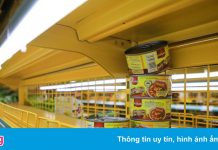 Nguy cơ đứt nguồn cung mì gói và đồ hộp ở TP.HCM