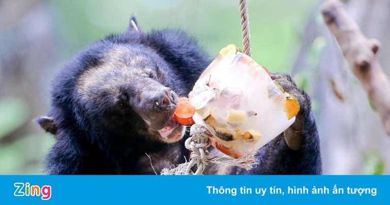 Thảo Cầm Viên xin TP.HCM hỗ trợ tiền để chăm sóc động, thực vật Thảo Cầm Viên xin TP.HCM hỗ trợ tiền để chăm sóc động, thực vật