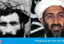 Taliban có nuốt lời thề với Osama bin Laden?