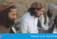 Google khóa tài khoản email của chính phủ Afghanistan