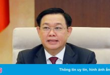 Không có khoản trợ cấp nào quan trọng bằng cho phép mở cửa trở lại