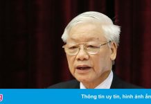 Tổng bí thư: Cán bộ nội chính phải tỉnh táo, không ngừng rèn luyện