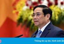 Thủ tướng: Quyết tâm ngăn chặn, đẩy lùi dịch bằng mọi biện pháp