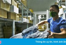 Chủ hàng lo đổ nợ vì hàng nghìn tấn hải sản chưa thể tiêu thụ