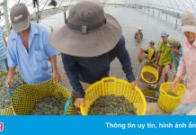 Khó khăn bủa vây doanh nghiệp thủy sản