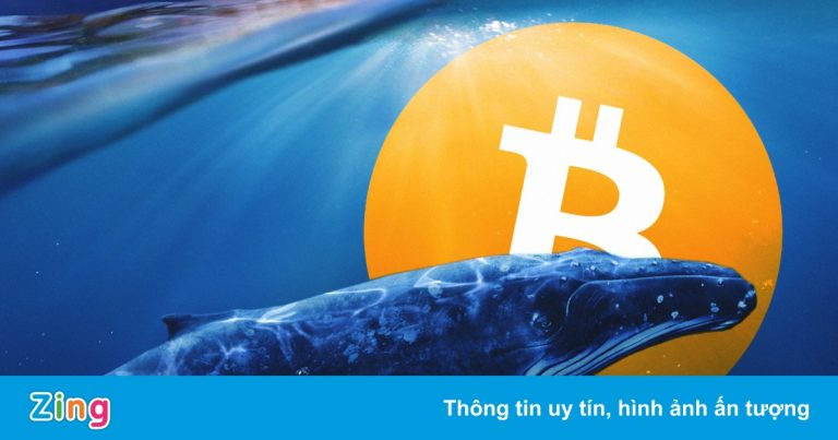 ‘Cá voi’ tiếp tục bắt đáy Bitcoin