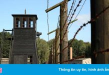 Cụ bà 96 tuổi bỏ trốn trước phiên tòa về tội ác thời phát xít Đức