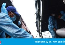 Người dân TP.HCM nhận nhu yếu phẩm từ Tuyên Quang