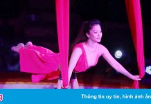 Sân khấu không khán giả của nghệ sĩ Việt