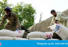 Mỹ sẽ hỗ trợ người Afghanistan, nhưng không để tiền vào tay Taliban