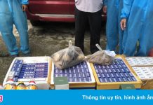 Xe ‘luồng xanh’ chở hàng lậu vào TP.HCM