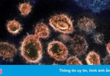 Phát hiện mới về người trẻ tuổi và khỏe mạnh mắc Covid-19 nặng