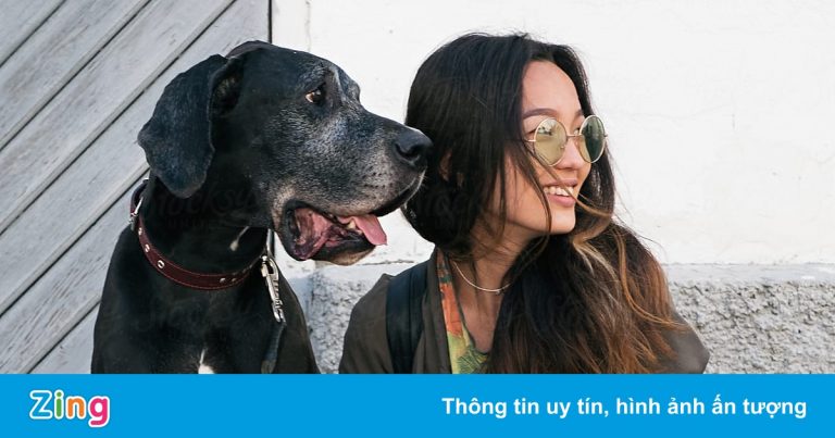 Trào lưu đưa thú cưng đi du lịch ở Trung Quốc