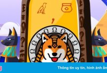 Một dự án memecoin cuỗm mất 60 triệu USD của nhà đầu tư